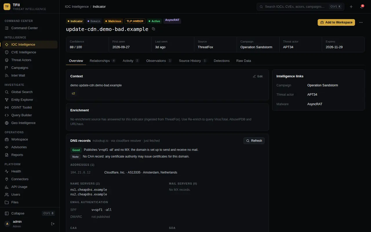 TFII indicator page with reasoning and DNS records